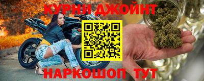 шишки Будённовск