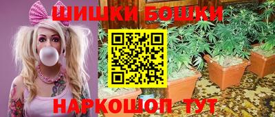 шишки Будённовск