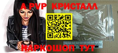 шишки Будённовск