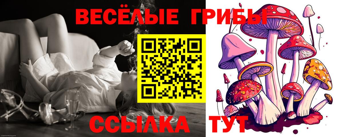 Малоярославец  Галлюциногенные грибы GOLDEN TEACHER  Вход с VPN  Галлюциногенные грибы мицелий 